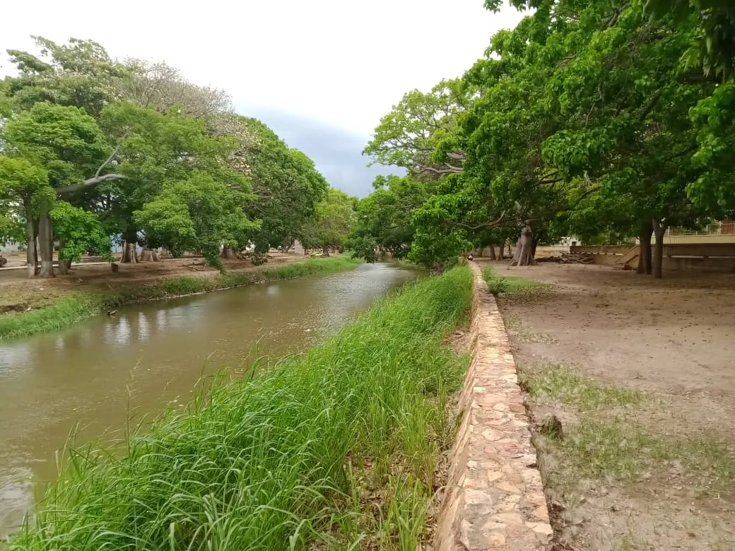 parque (9).jpeg