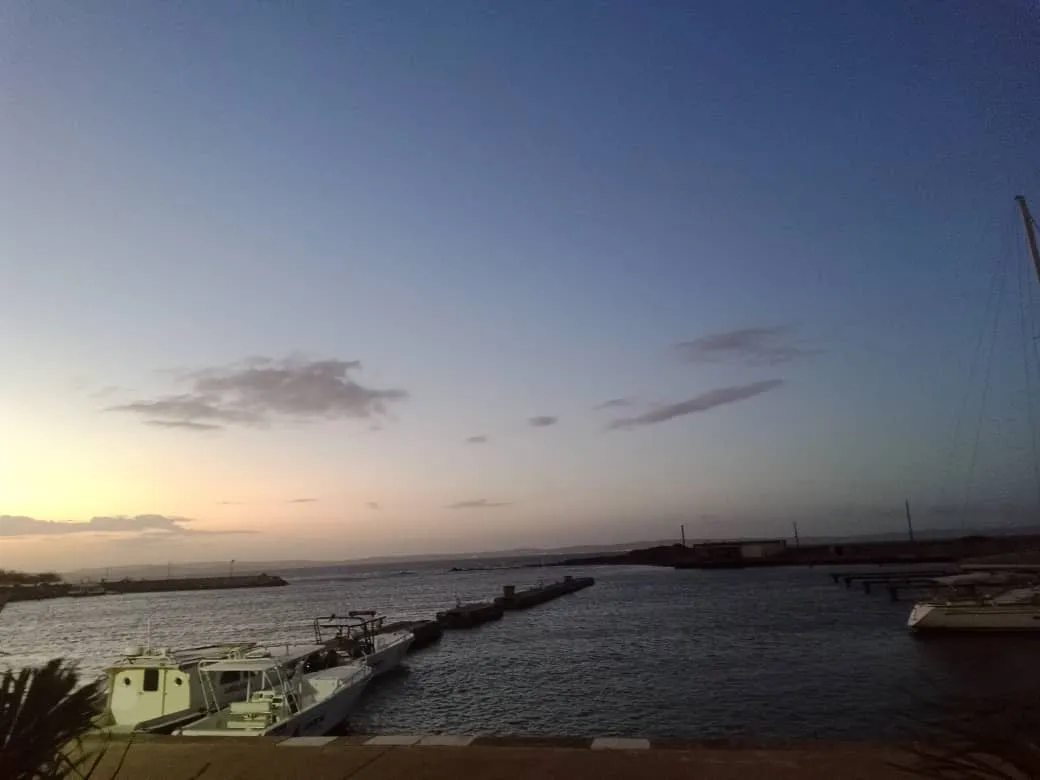 paseo perimetral (2).jpeg