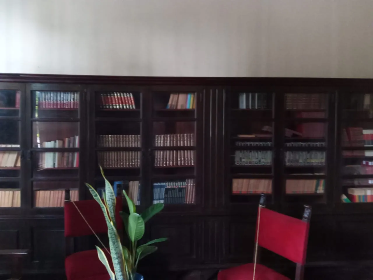 casa andres eloy (58).jpeg