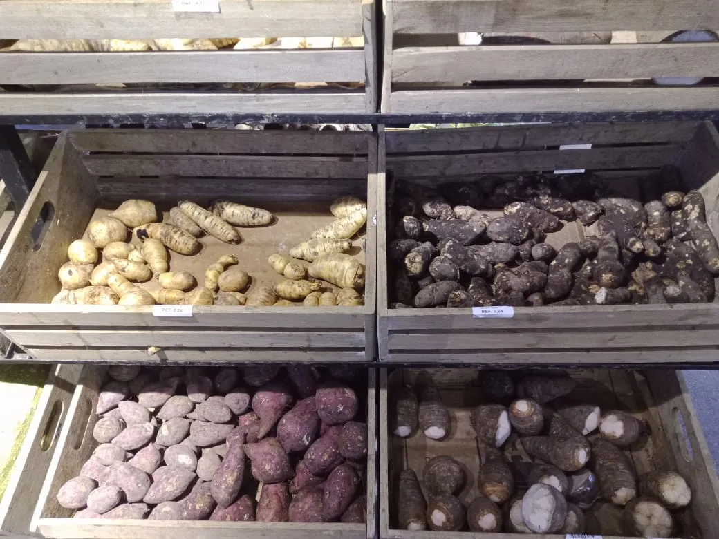 SHOPING VEGANO (12).jpeg
