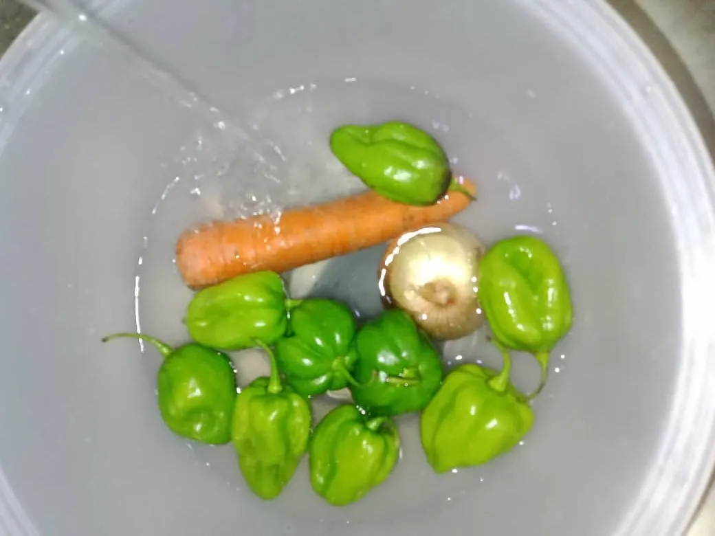 PANQUECA (5).jpeg