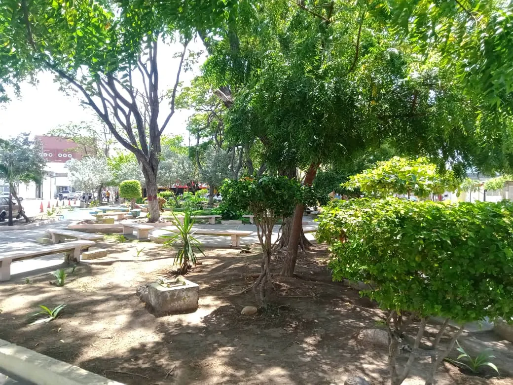 plaza (3).jpeg