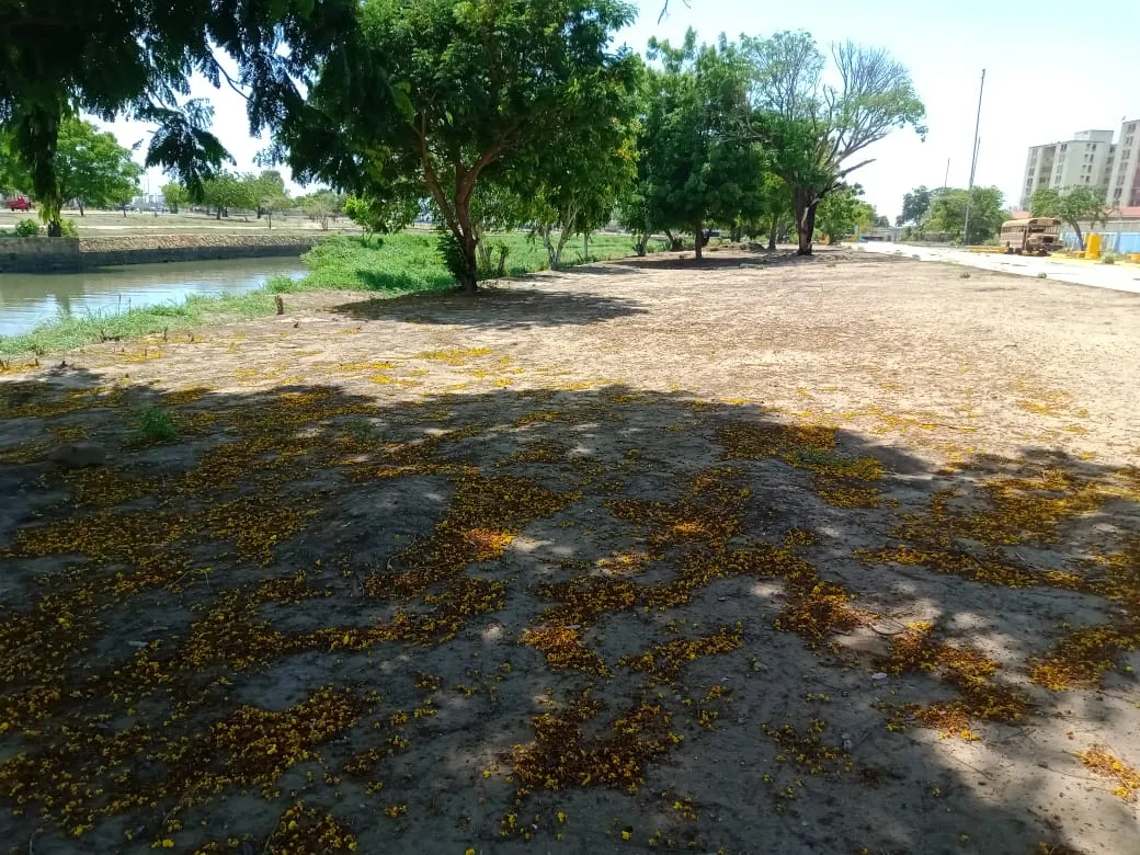 parque A (24).jpeg