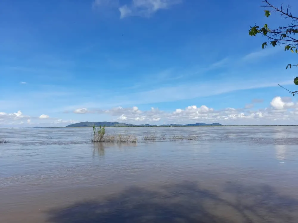 Río Orinoco (9).jpeg