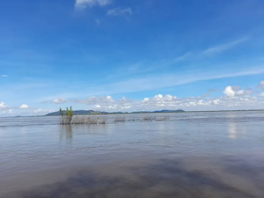 Río Orinoco (14).jpeg