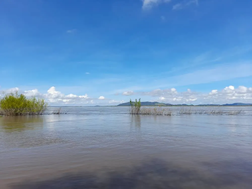 Río Orinoco (6).jpeg