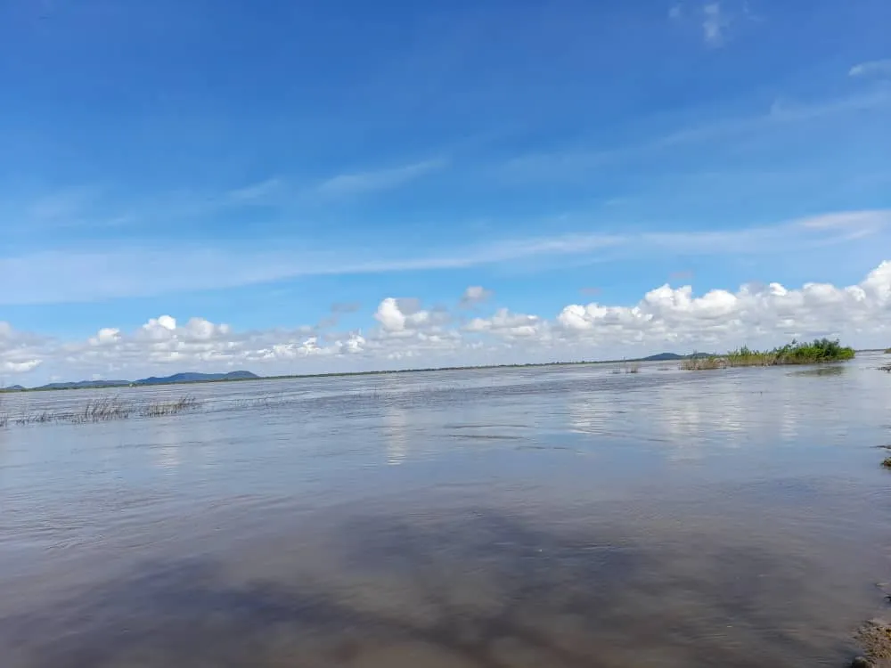 Río Orinoco (2).jpeg