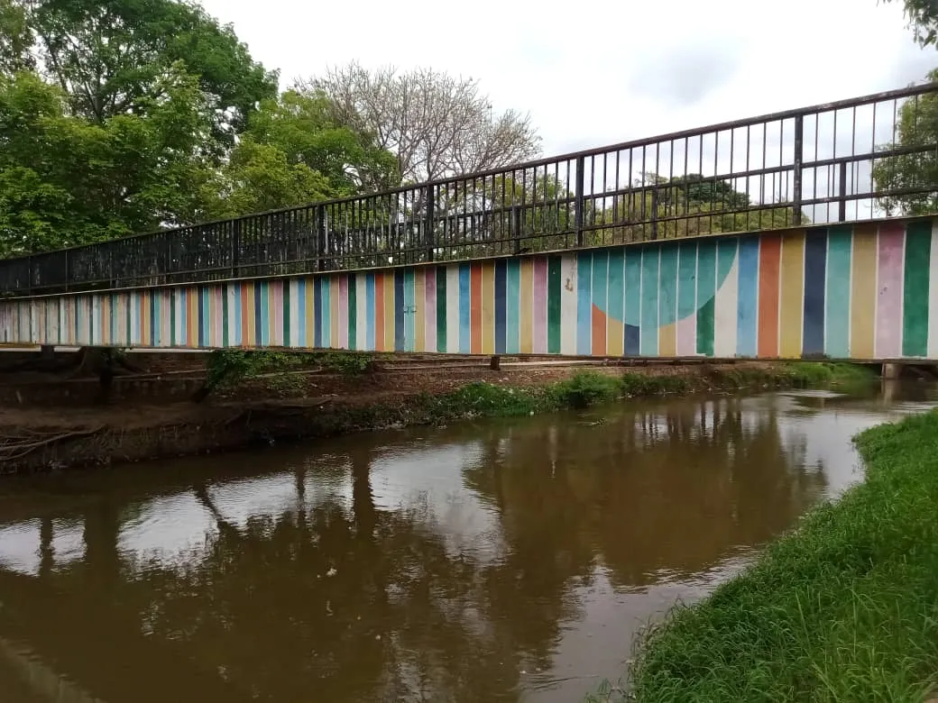 parque puentes (8).jpeg