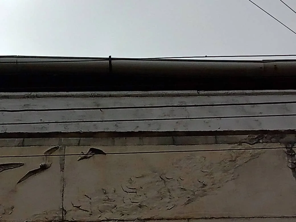 edificio (4).jpeg