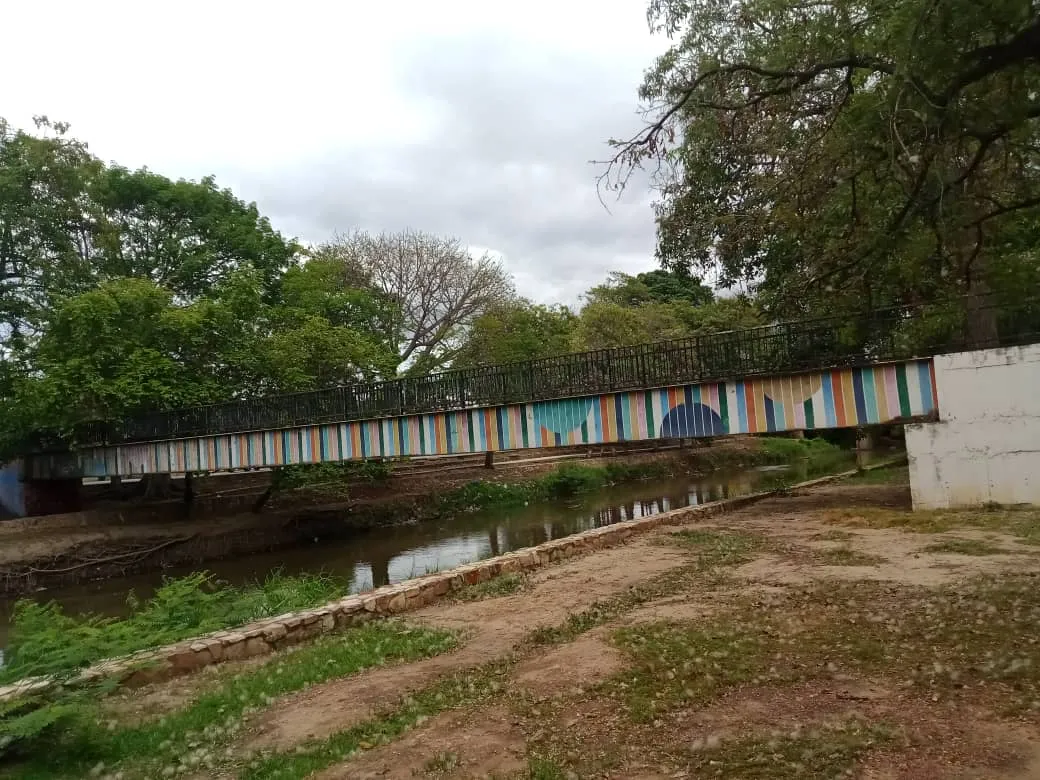 parque puentes (9).jpeg