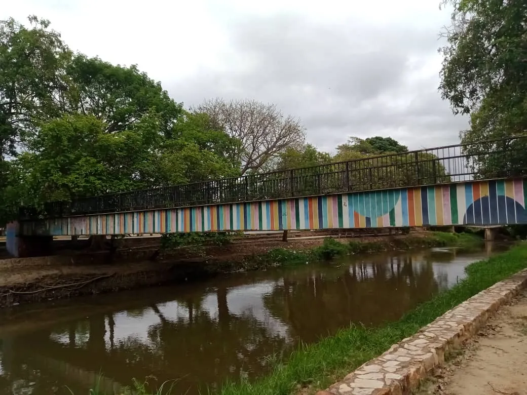 parque puentes (1).jpeg
