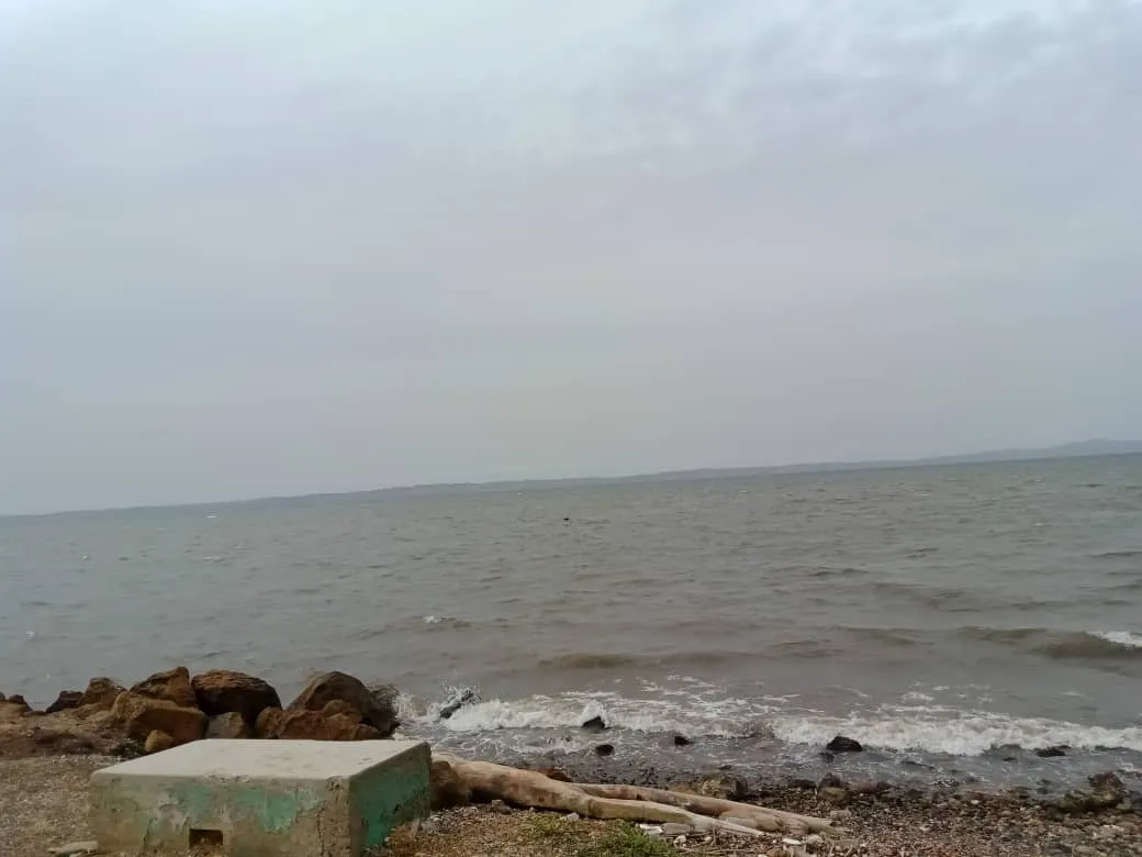 playya (8).jpeg