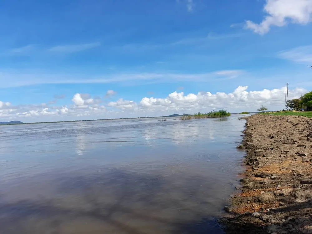 Río Orinoco (3).jpeg