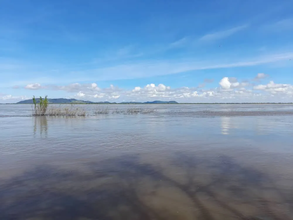 Río Orinoco (7).jpeg