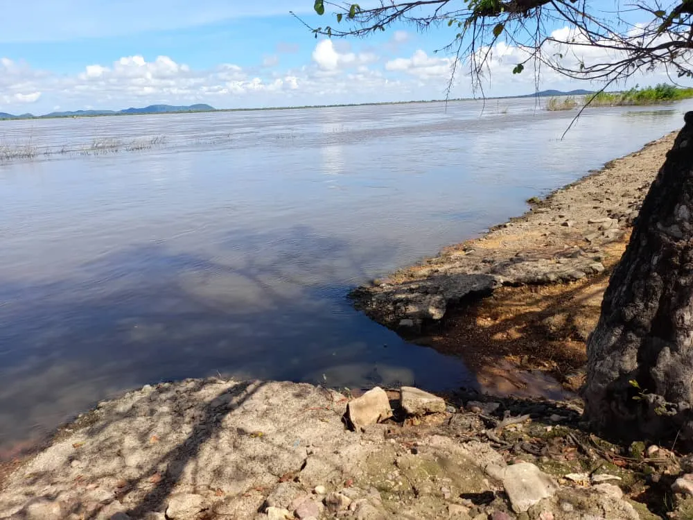 Río Orinoco (20).jpeg