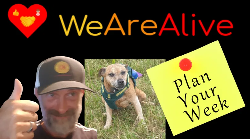 planyourweek280725.png
