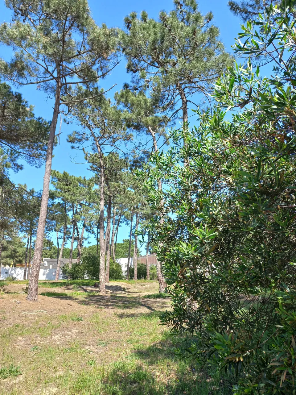 20220414_151627.jpg