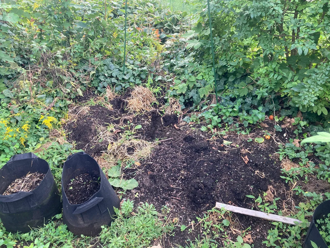 Composting.jpg