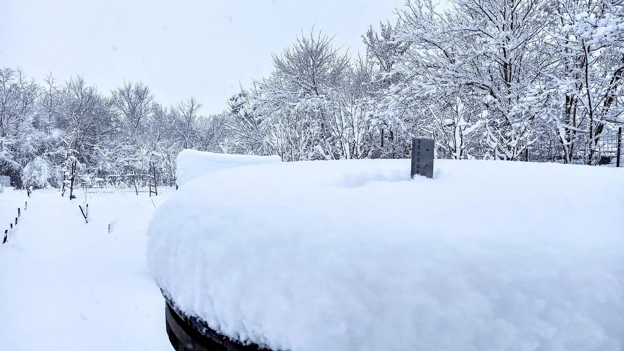 20 cm fresh snow in the morning and it snowed the whole day!