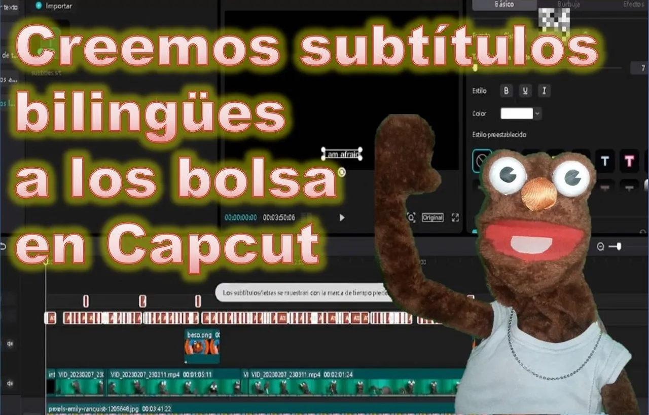 caratula.jpg