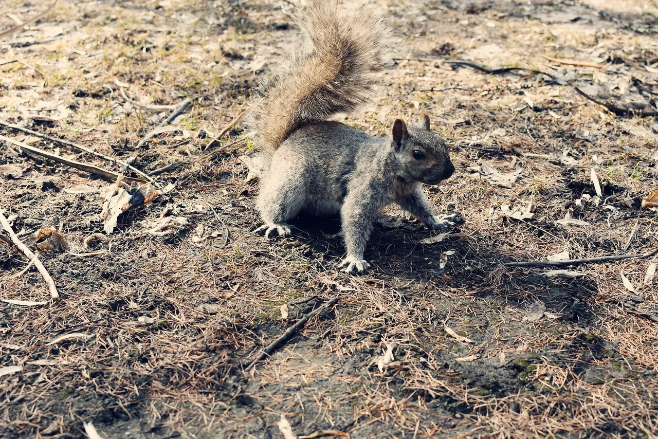 DSC_2963.jpg