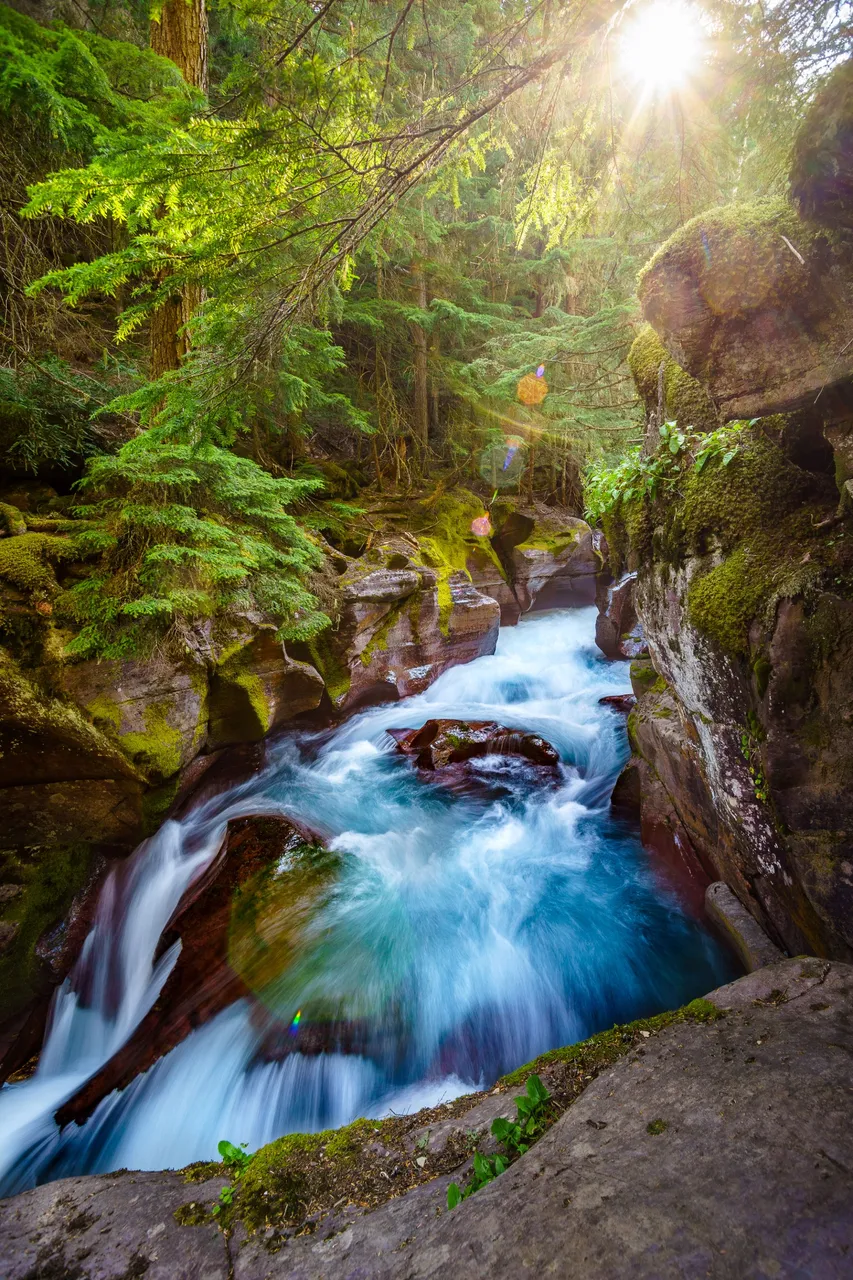 Morning Light in the Gorge.jpg