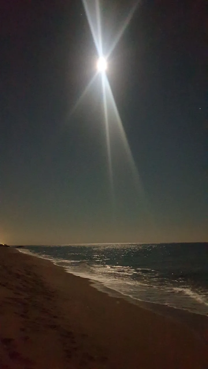20220117_203509.jpg