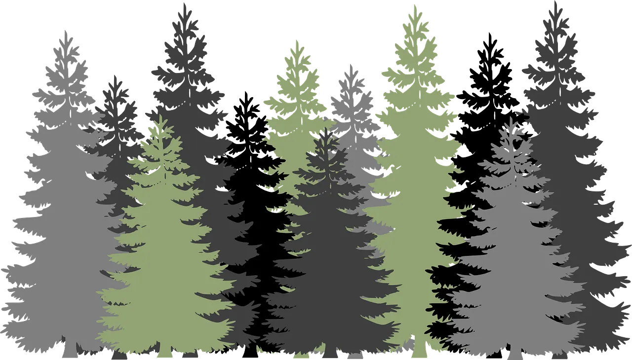 forest-gee056857c_1280.png
