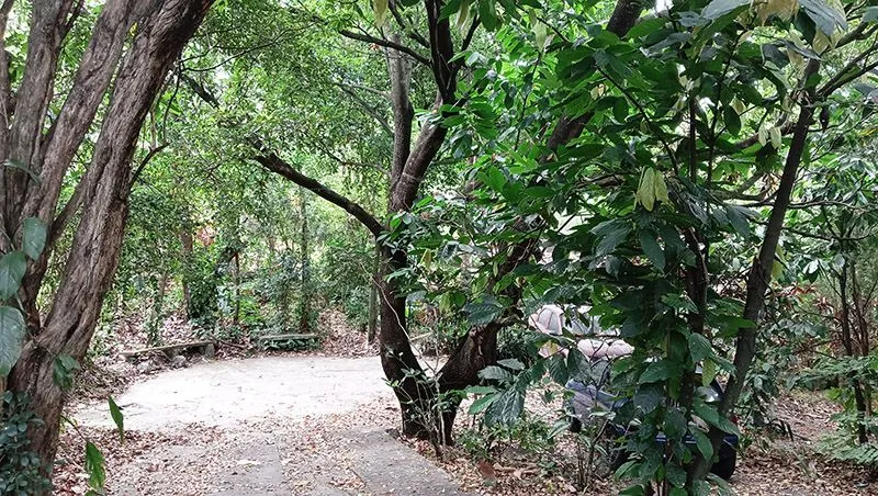 casa 1.jpg