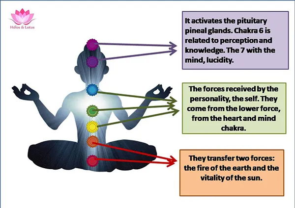 Diapositiva2.JPG