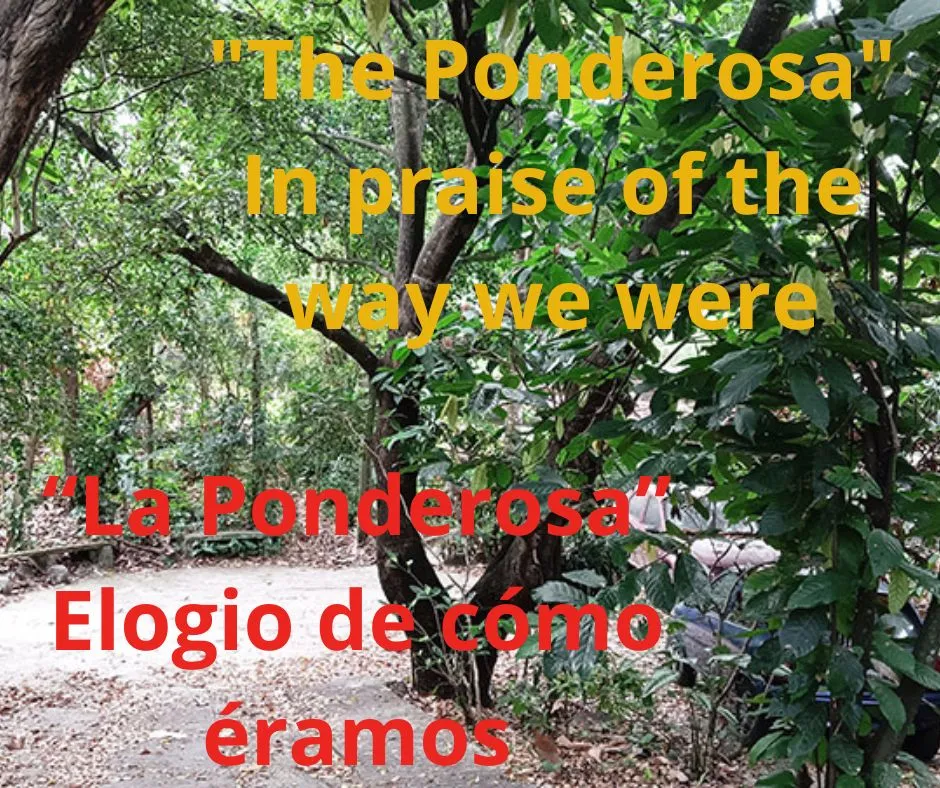 Añadir un título.jpg