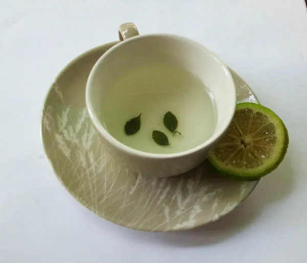oregano 7.JPG