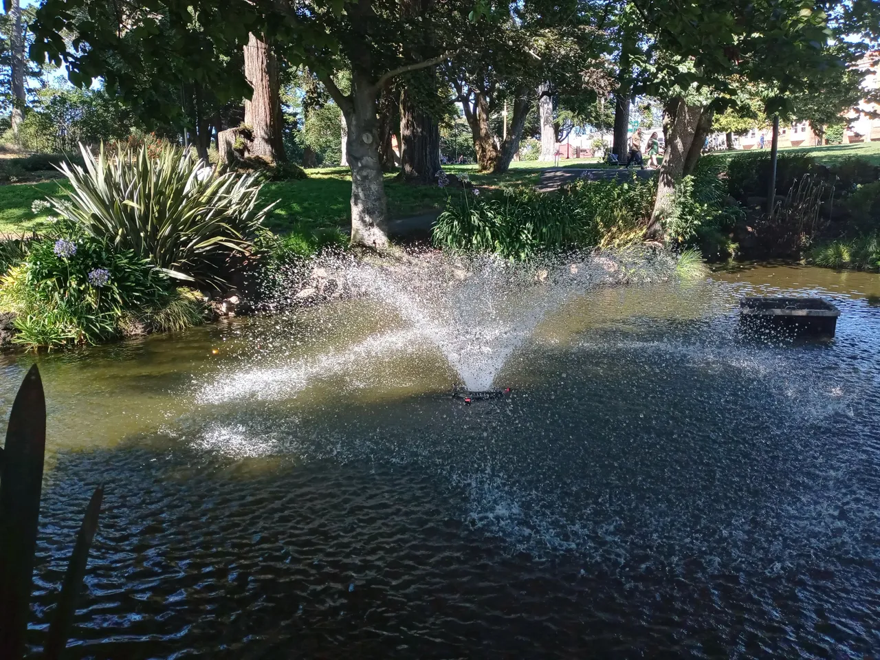 20230909_151121_HDR.jpg