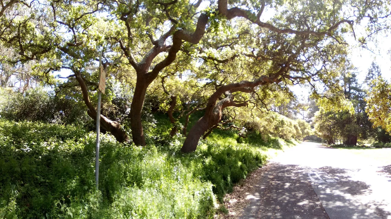 PANO_2025-04-21_15-05-46.jpg