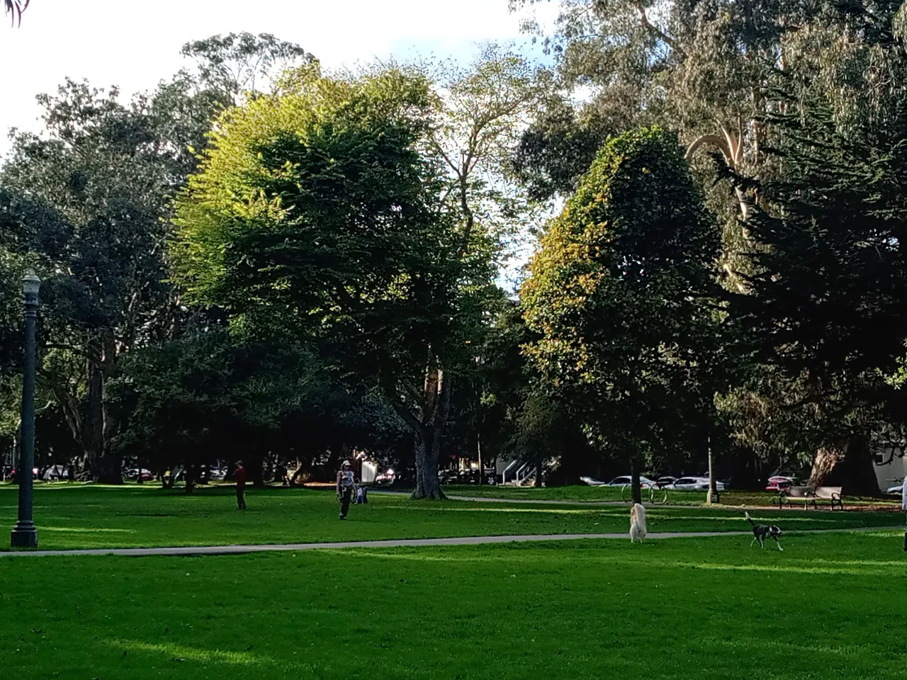 20231016_162410_HDR.jpg