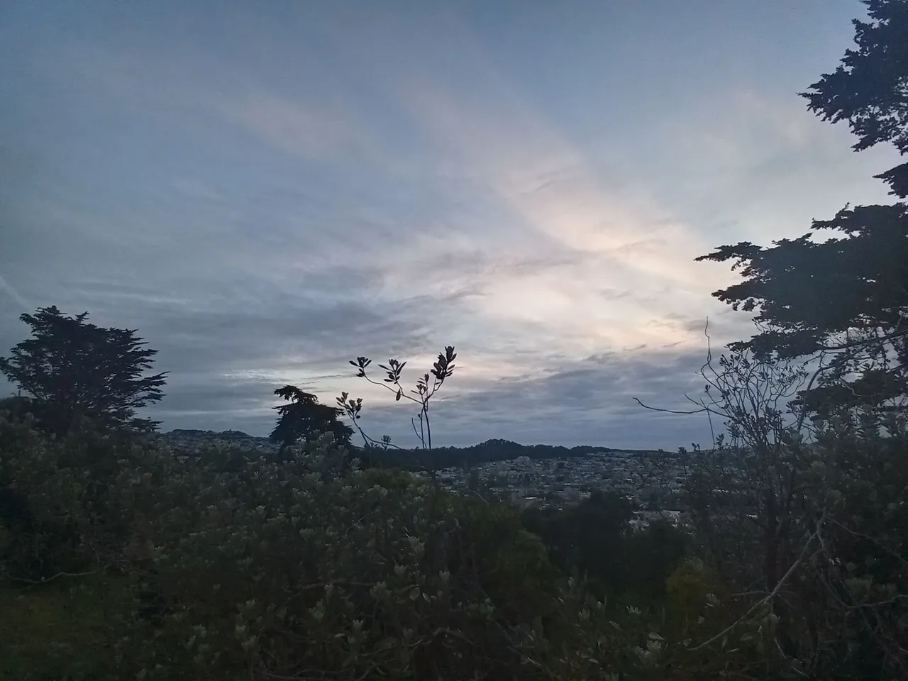 20240305_175826_HDR.jpg