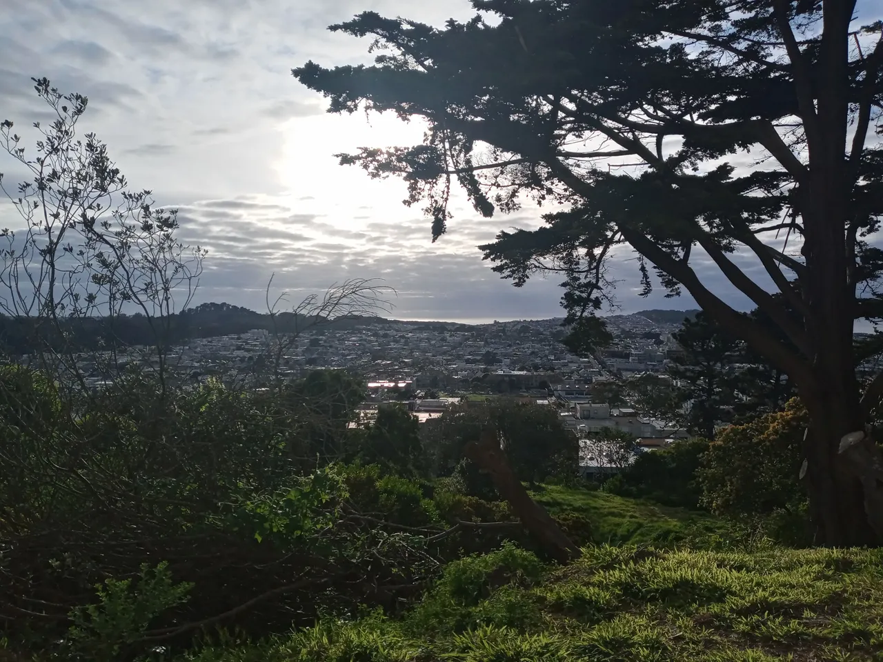 20240305_165848_HDR.jpg