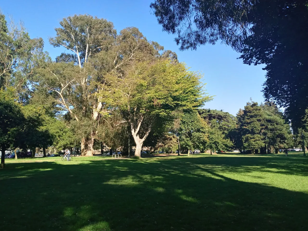 20231017_152125_HDR.jpg