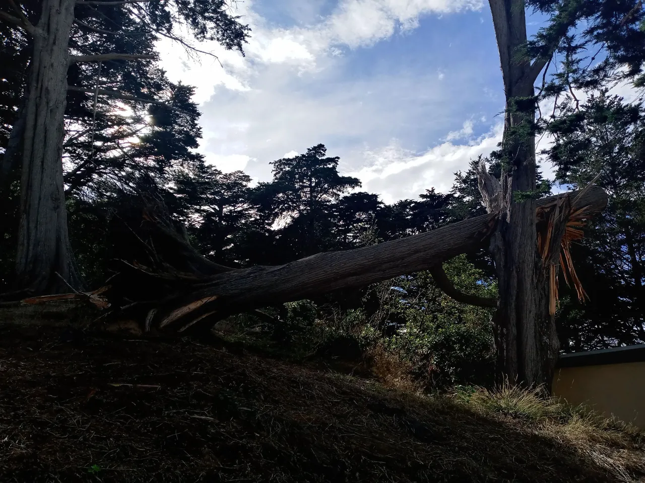 20231016_152835_HDR.jpg