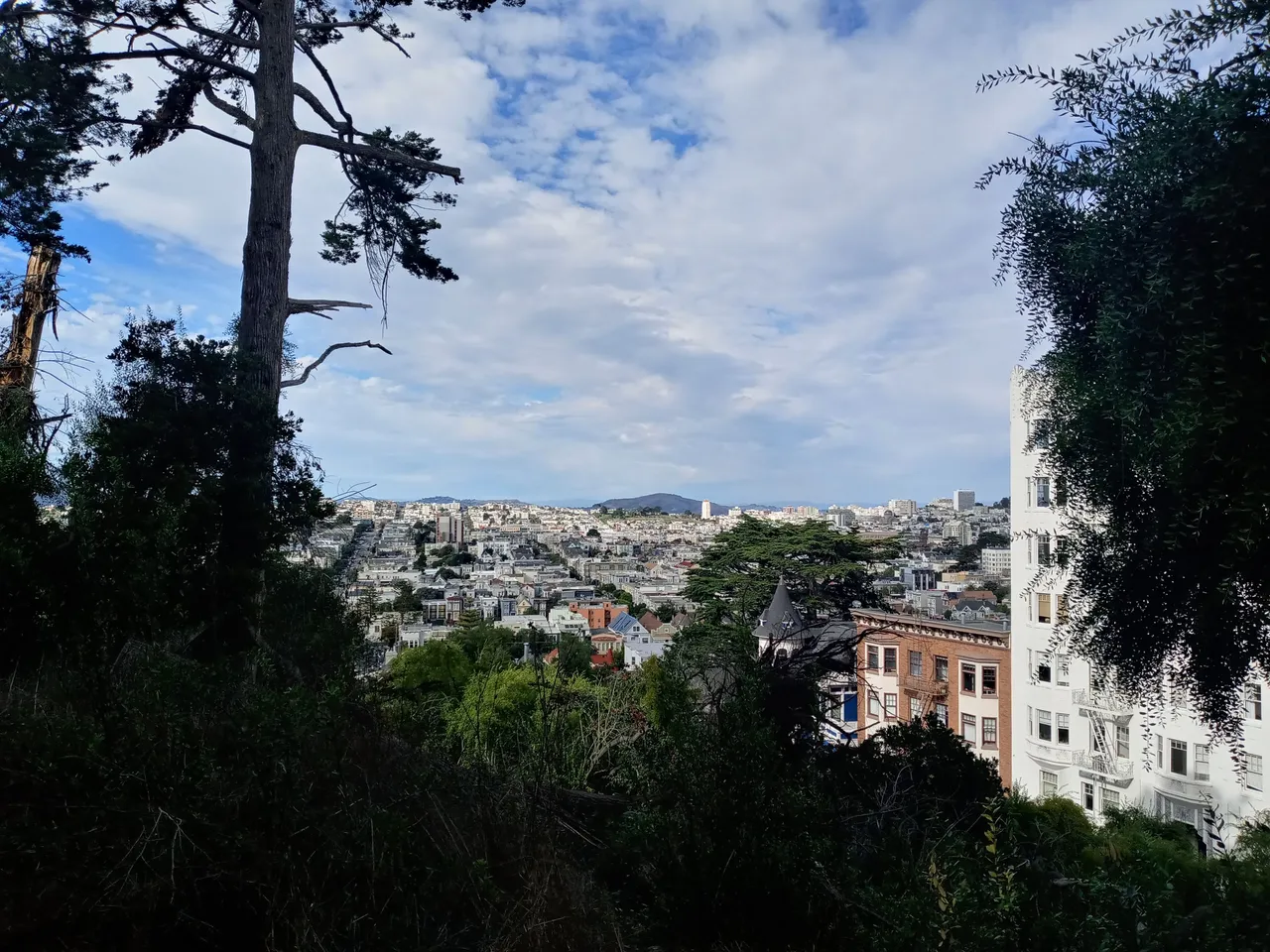 20231016_152630_HDR.jpg
