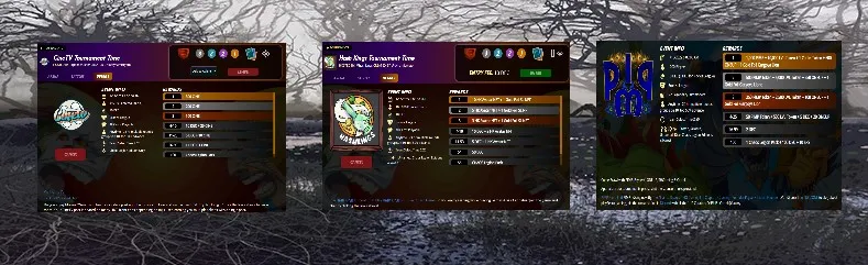3tourney.jpg