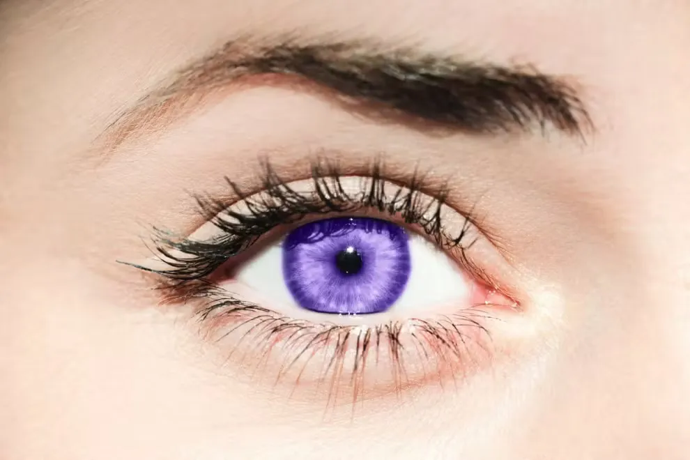 sindrome-alejandria-large.png