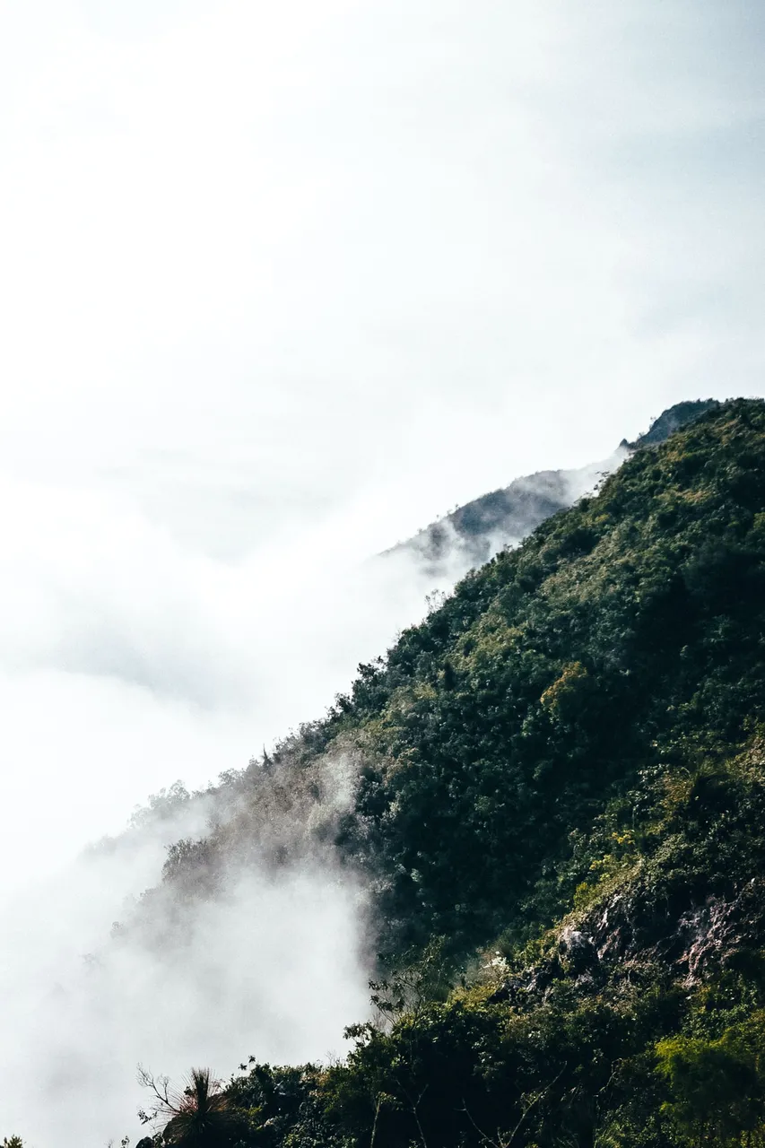 pexels-mikegles-11384156.jpg