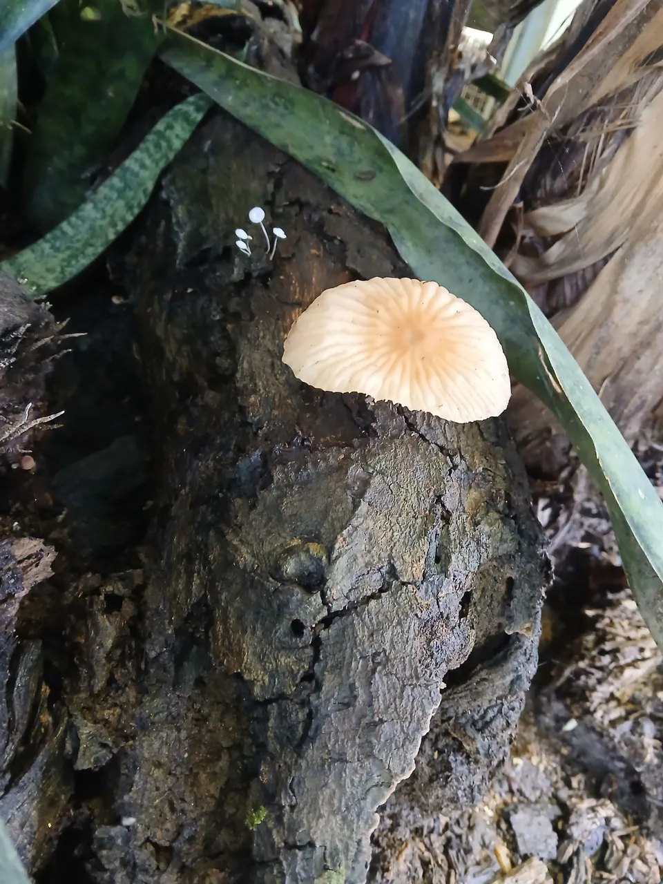 20250729_090225.jpg