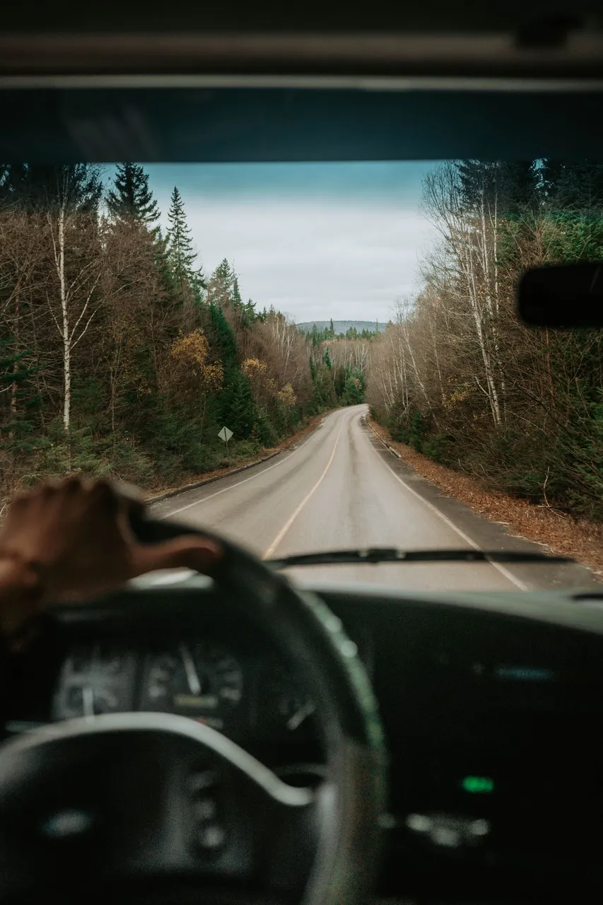 https___www.lifeofpix.com_wp-content_uploads_2022_02_driver.jpg
