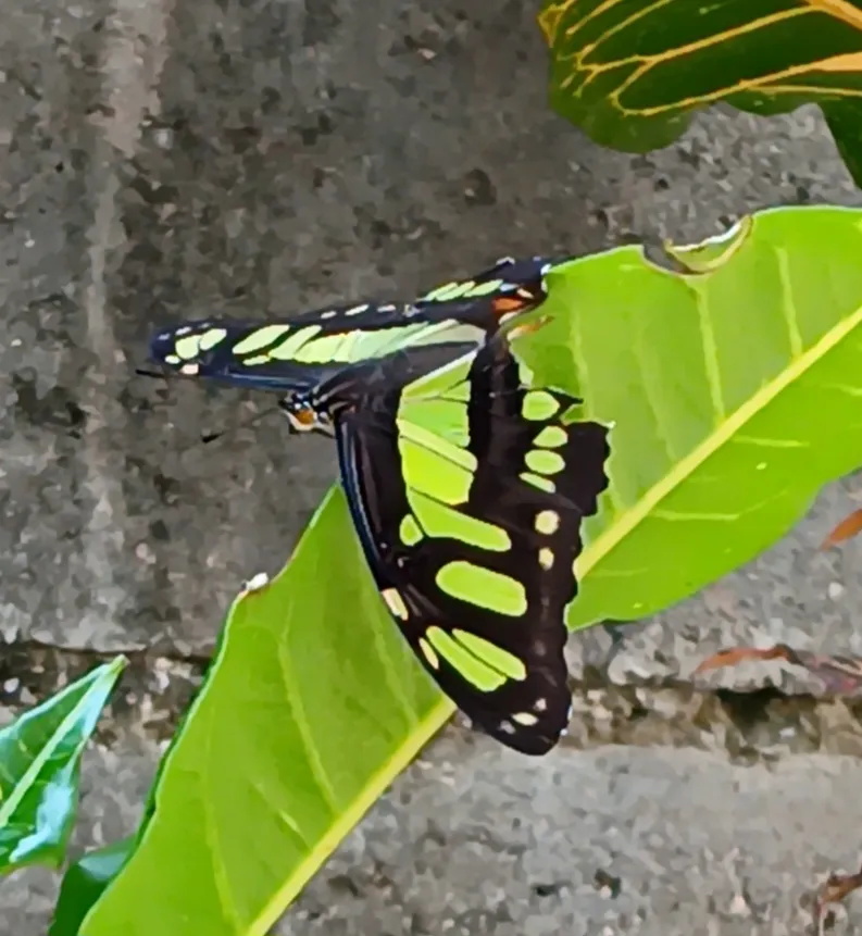 20250628_094304.jpg
