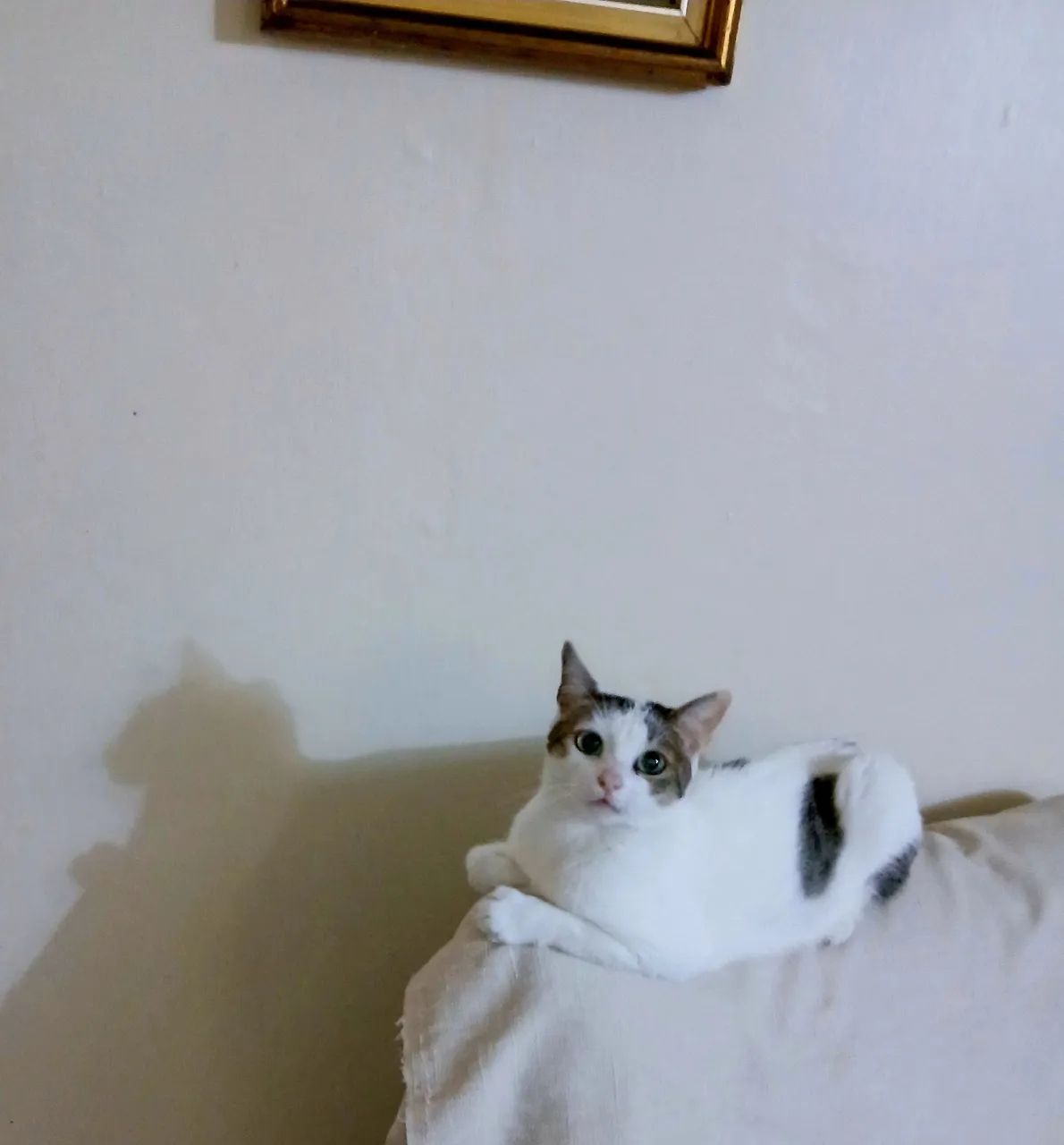 20250618_205129.jpg