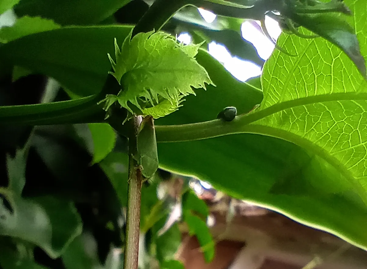 image - 2023-07-20T132525.743.png