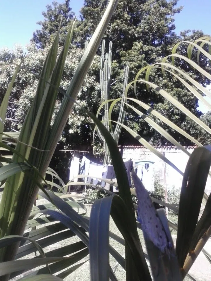 CAM00085.jpg