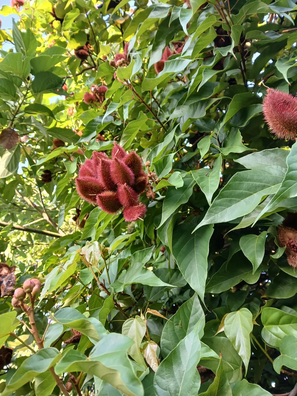 20250708_073545.jpg